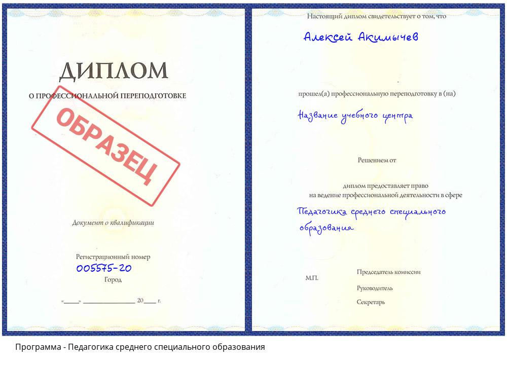 Педагогика среднего специального образования Великий Устюг